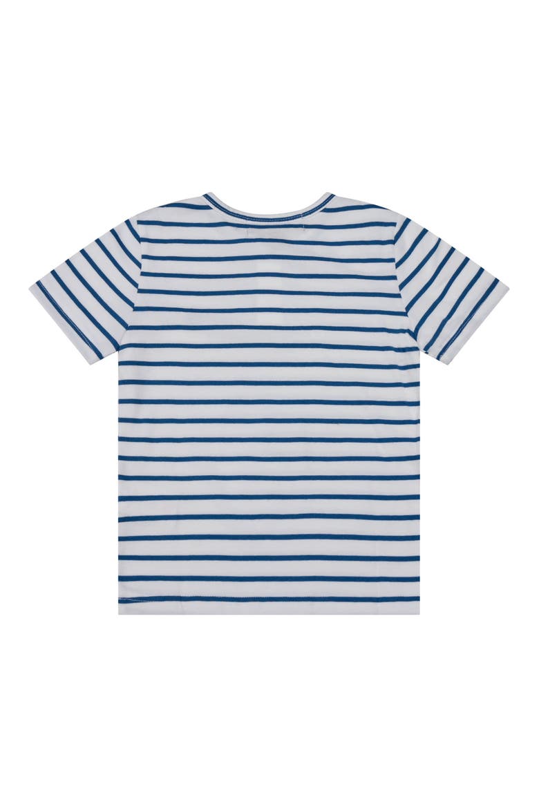 Kids' Stripe Henley, Alternate, color, BLU BLUE