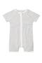 selected Grey Stripe