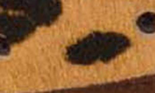 Ettika Cheetah Print Genuine Calf Hair Belt In Brown