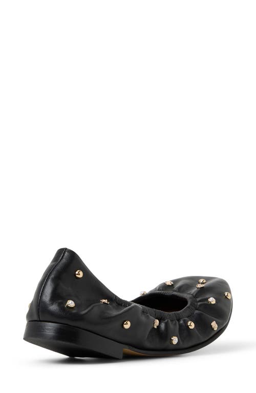 Ted Baker Lottie Studded Ballet Flat In Animal Print