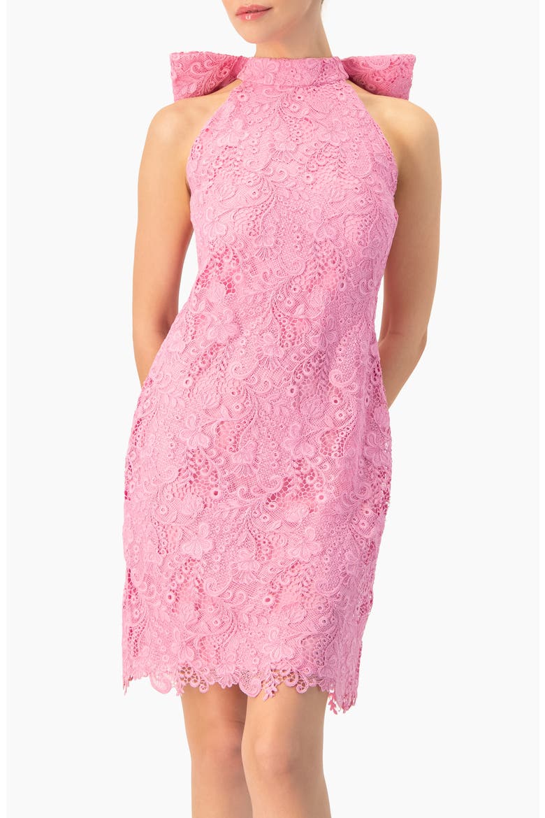 Lace Halter Bow Mini Dress, Main, color, Pink