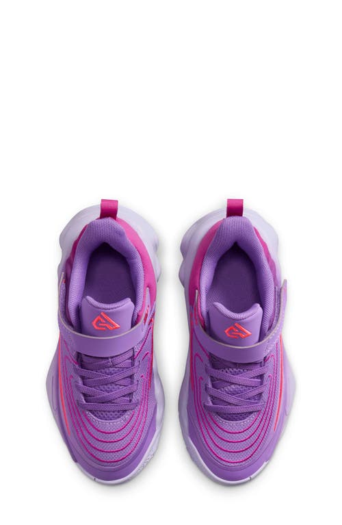 Nike Kids' Giannis Immortality 4 Basketball Shoe In Purple