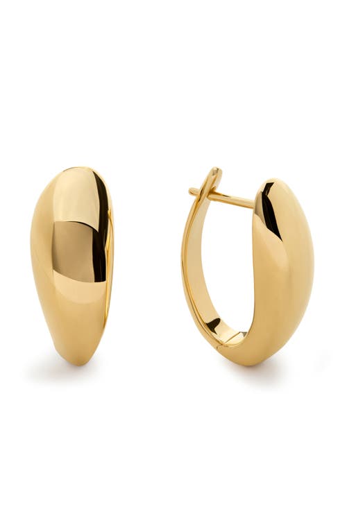 Monica Vinader Nura Reef Large Hoop Earrings In Gold