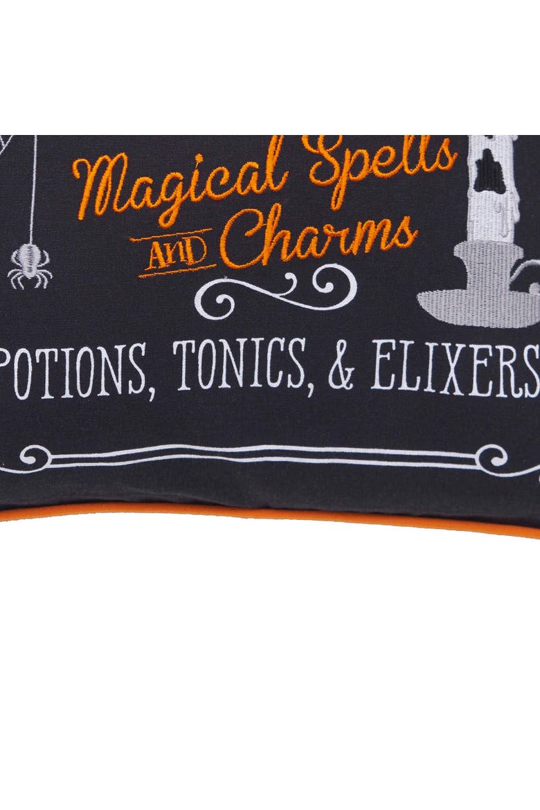 "Apothecary Shoppe" Cotton Blend Halloween Accent Throw Pillow 18" x 18", Alternate, color, Black