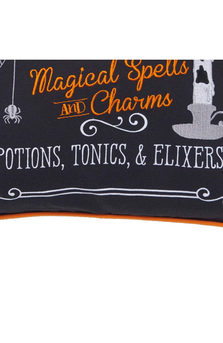 C&F Home "Apothecary Shoppe" Cotton Blend Halloween Accent Throw Pillow 18" x 18", Alternate, color, Black