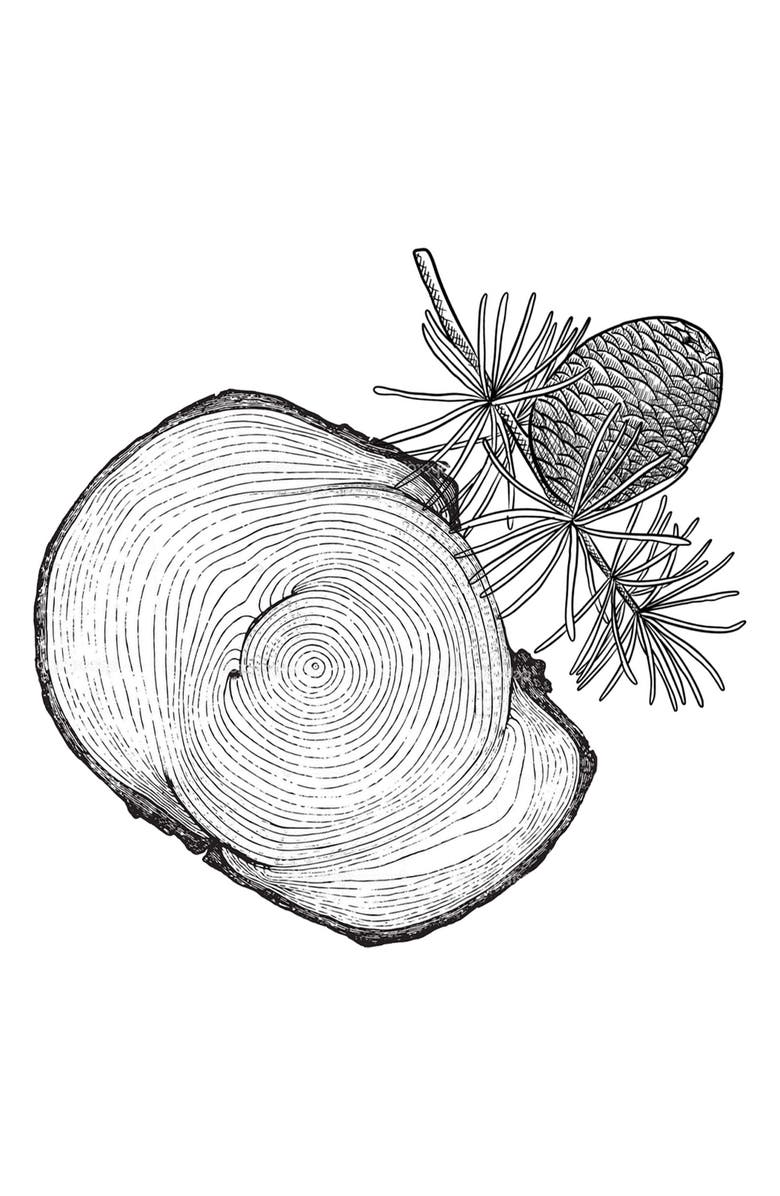 Decision Eau de Parfum