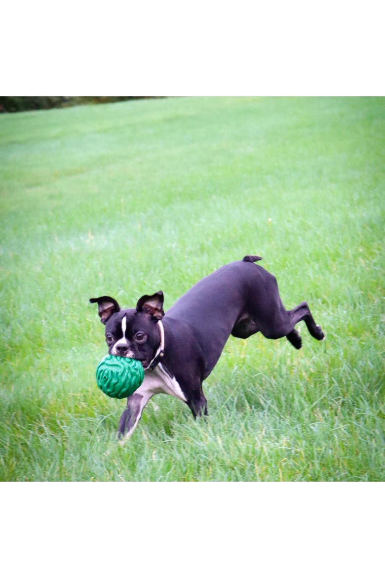 Luna Ball, 4 Inches, Large, Green, Dog & Puppy Toy, Alternate, color, Green