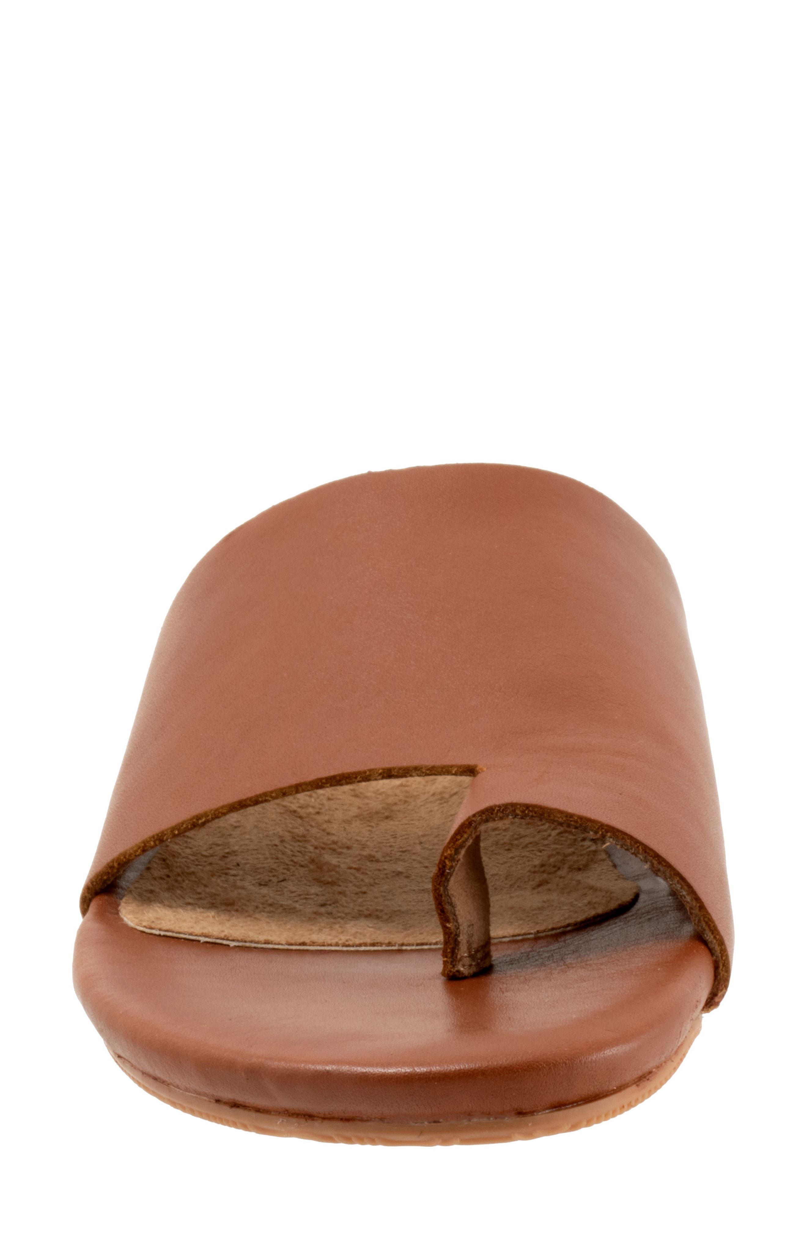 Corsica 2.0 Toe Loop Sandal, Alternate, color, LUGGAGE