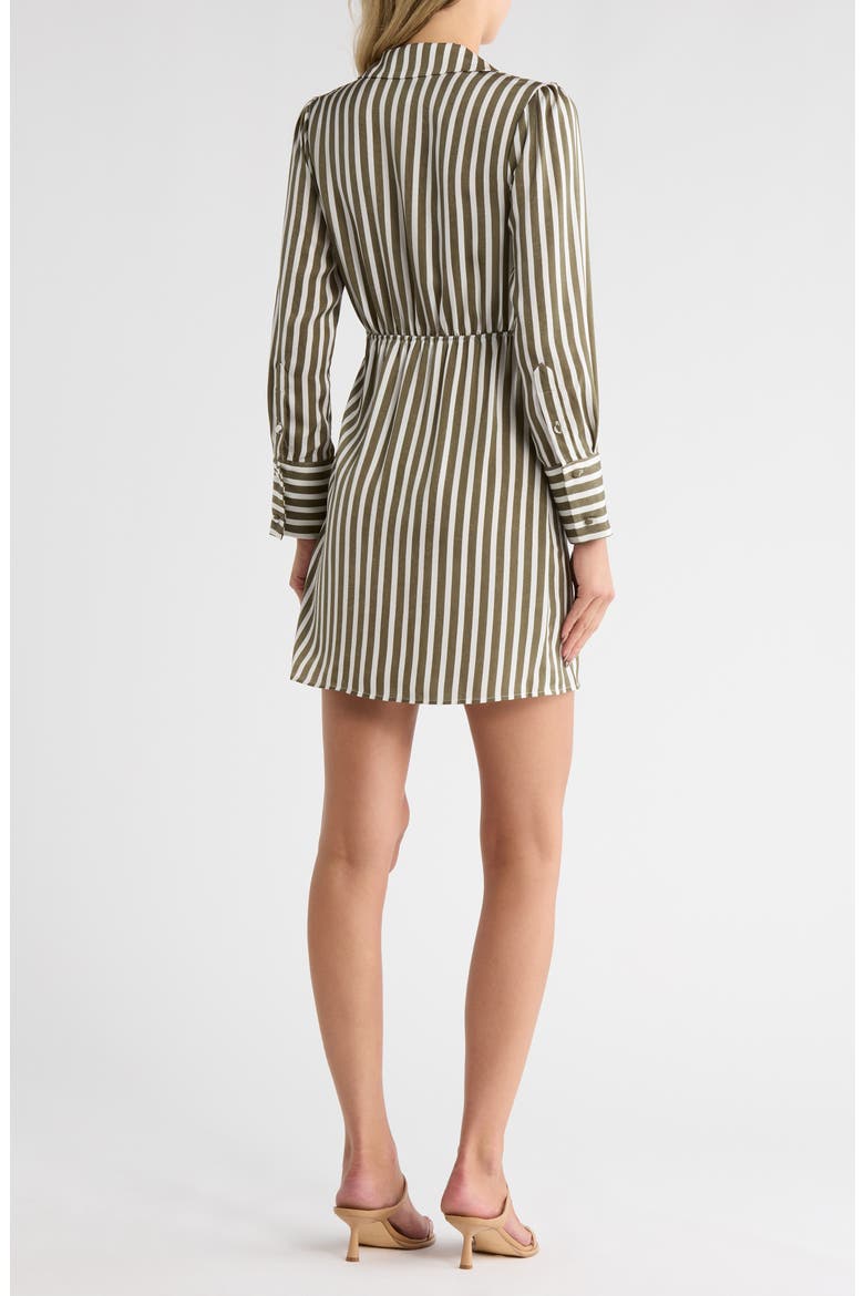 Cabana Stripe Shirtdress, Alternate, color, LODEN/ WHITE