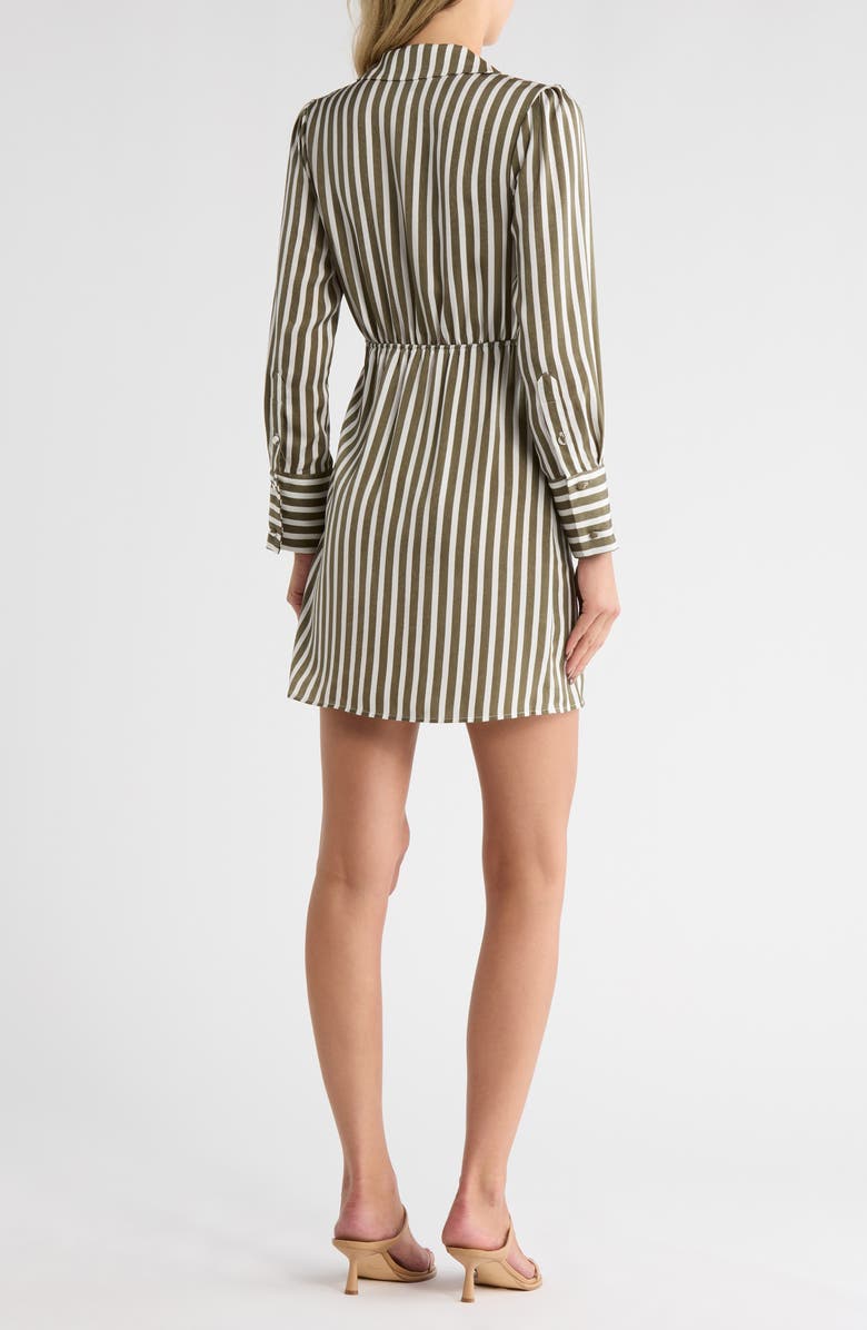 Cabana Stripe Shirtdress