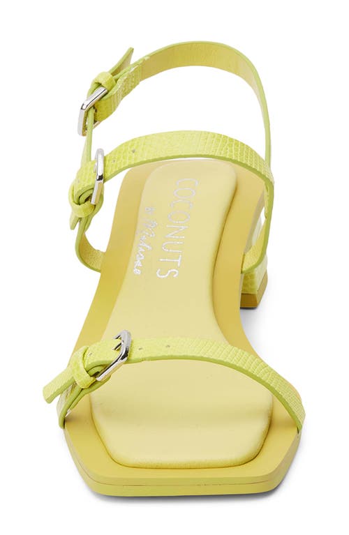 Coconuts By Matisse Maya Slingback Sandal