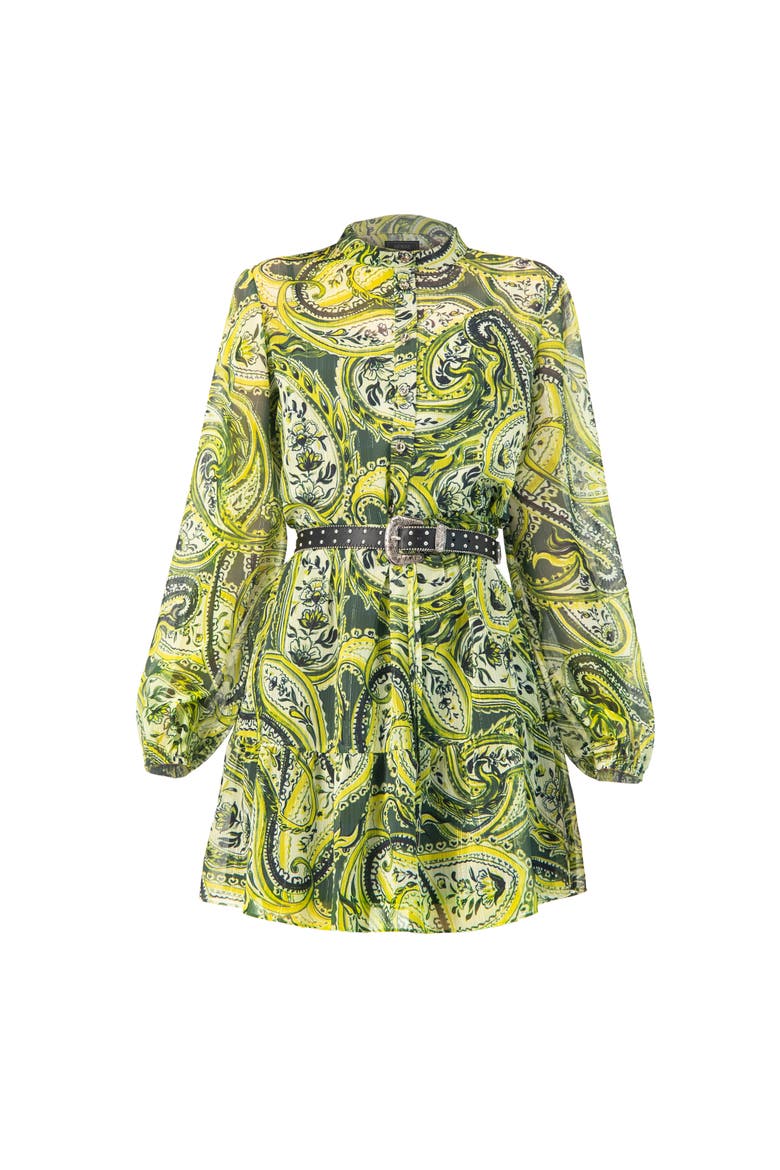 Short Paisley Dress with Long Sleeves, Alternate, color, Green