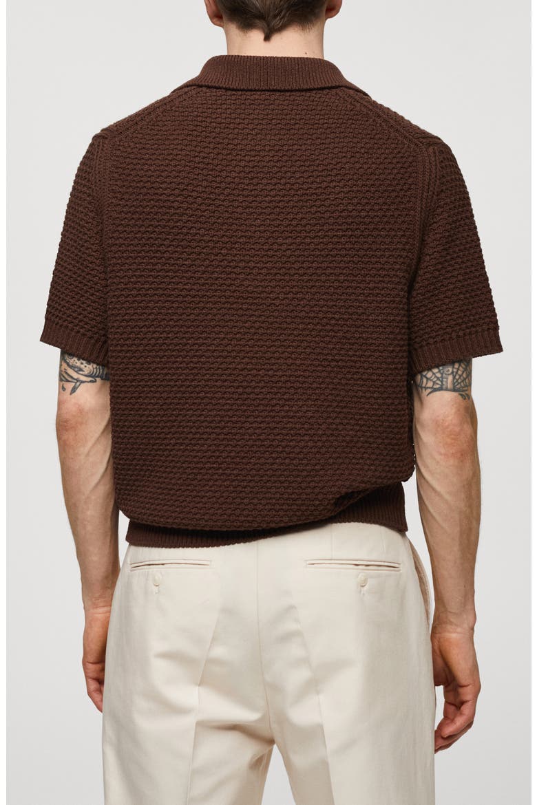 Braided Knit Polo, Alternate, color, TOBACCO BROWN