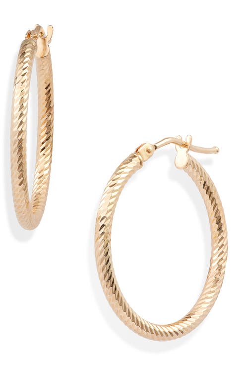 14K Gold Twisted Rope Hoop Earrings (Online Trunk Show)