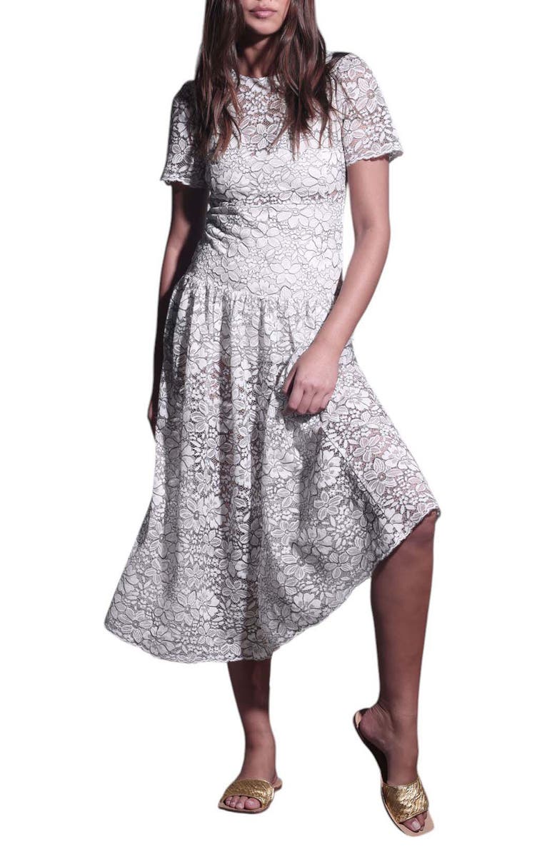 Walter Baker Mila Short Sleeve Drop Waist Lace Midi Dress | Nordstromrack
