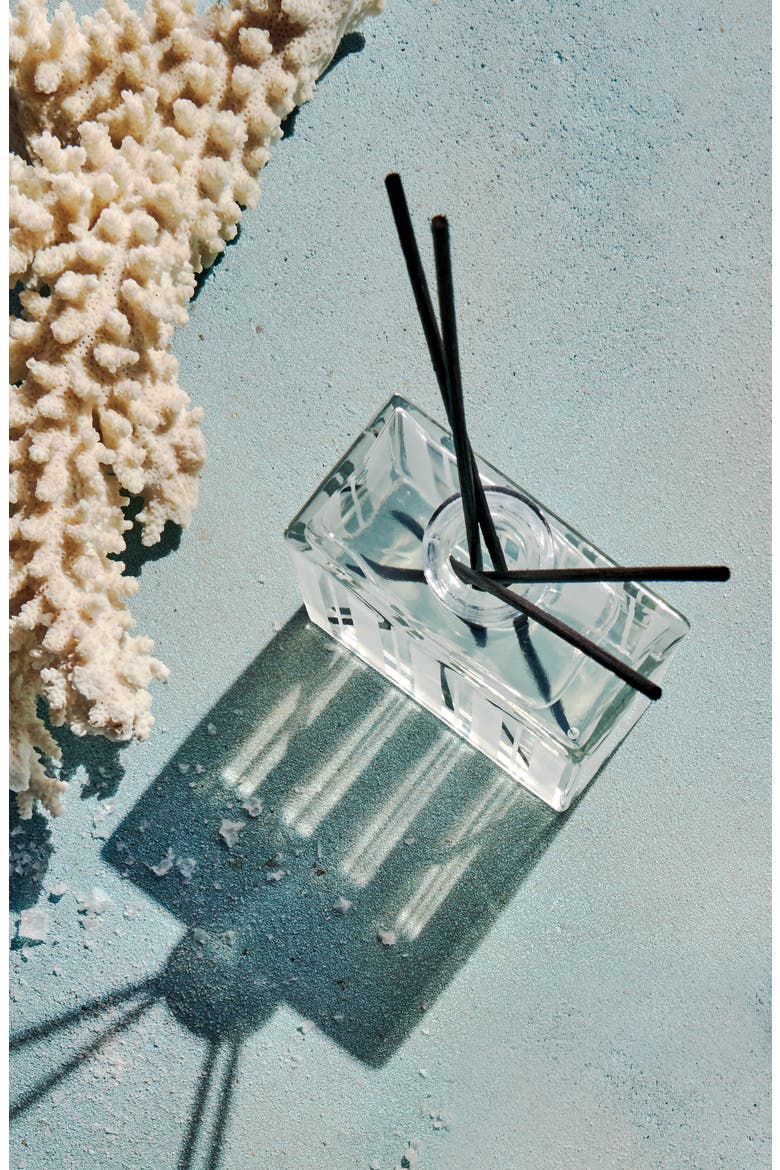 Ocean Mist & Sea Salt Reed Diffuser, Alternate, color, OCEAN MIST