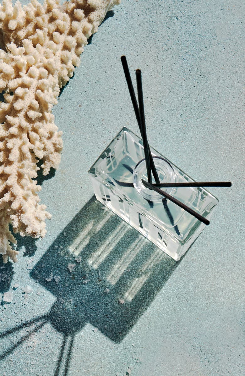 NEST New York Ocean Mist & Sea Salt Reed Diffuser, Alternate, color, 