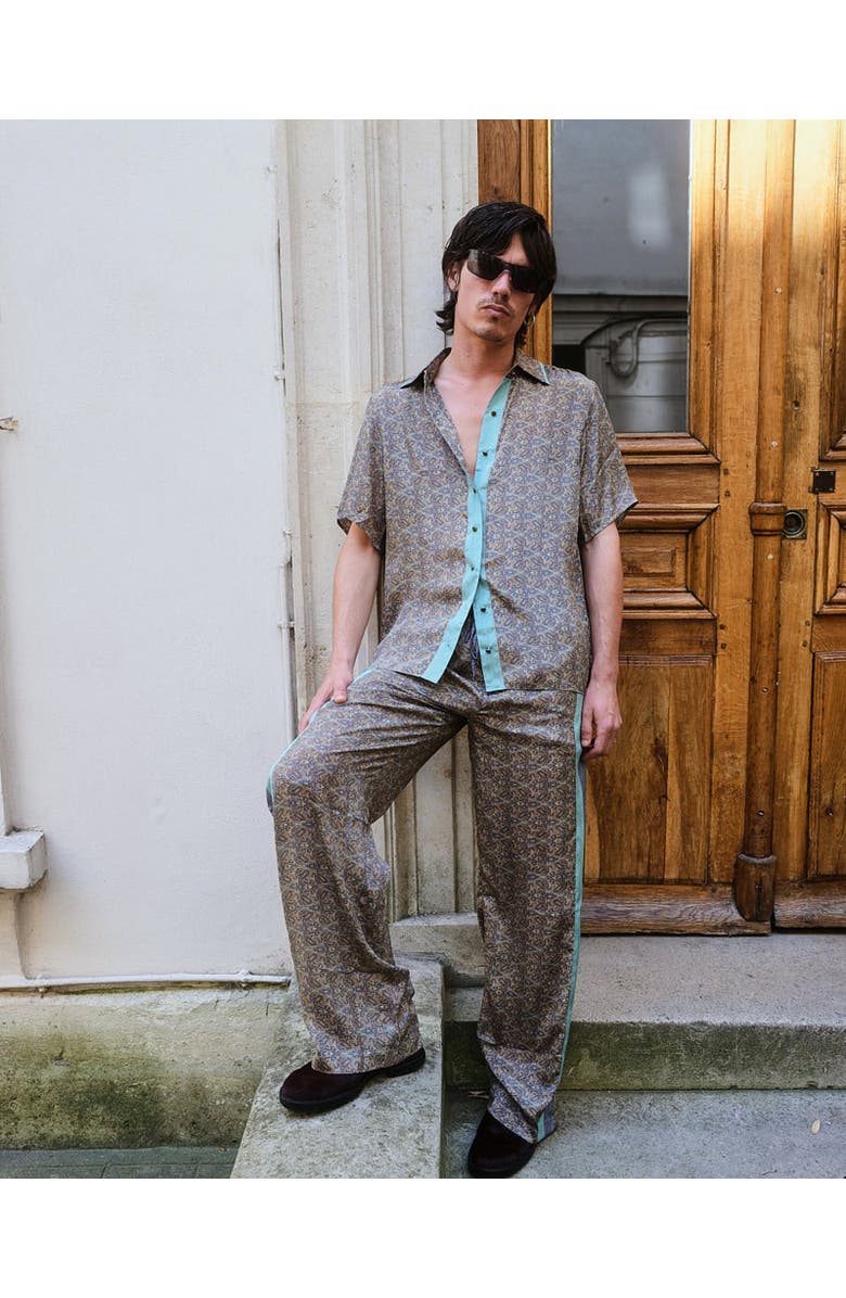 Monzlapur Paisley Motif Pant With Stripe, Alternate, color, Mint