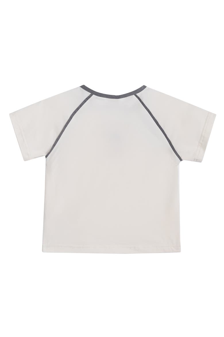Dog Pocket Set, Alternate, color, Grey