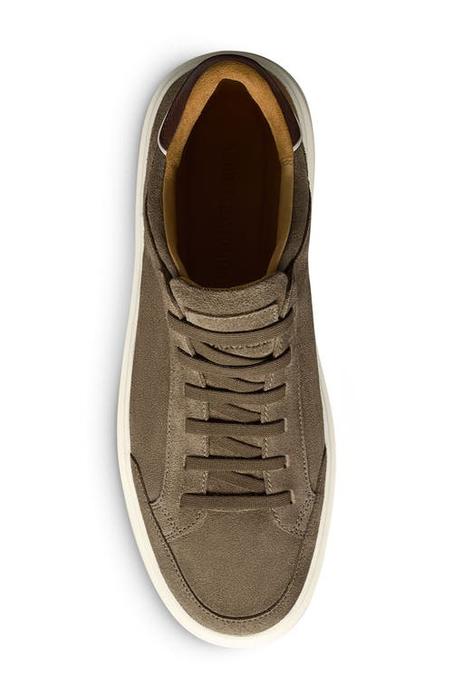 Allen Edmonds Oliver Sneaker In Tobacco
