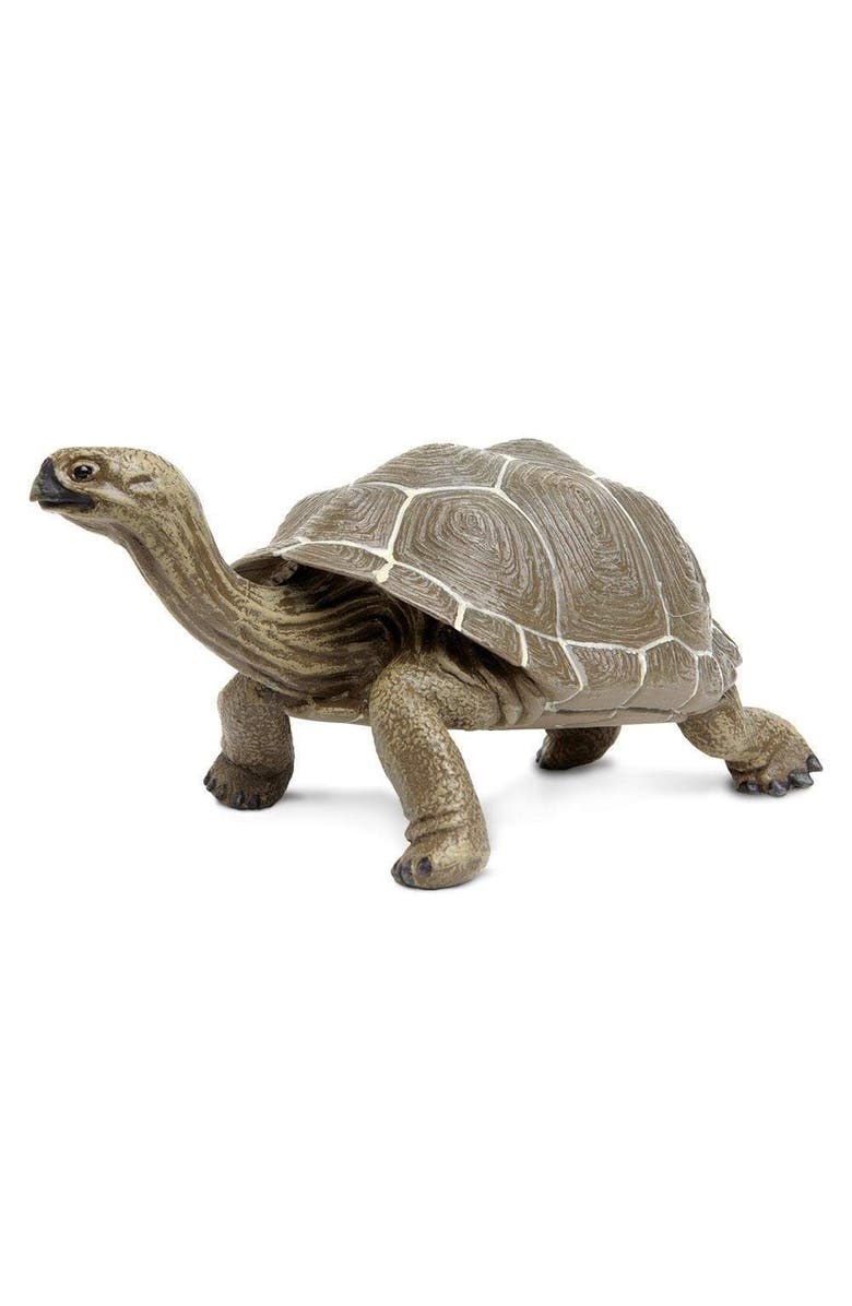 Safari Ltd. Tortoise Toy, Main, color, NO COLOR