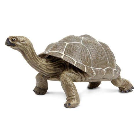Tortoise Toy