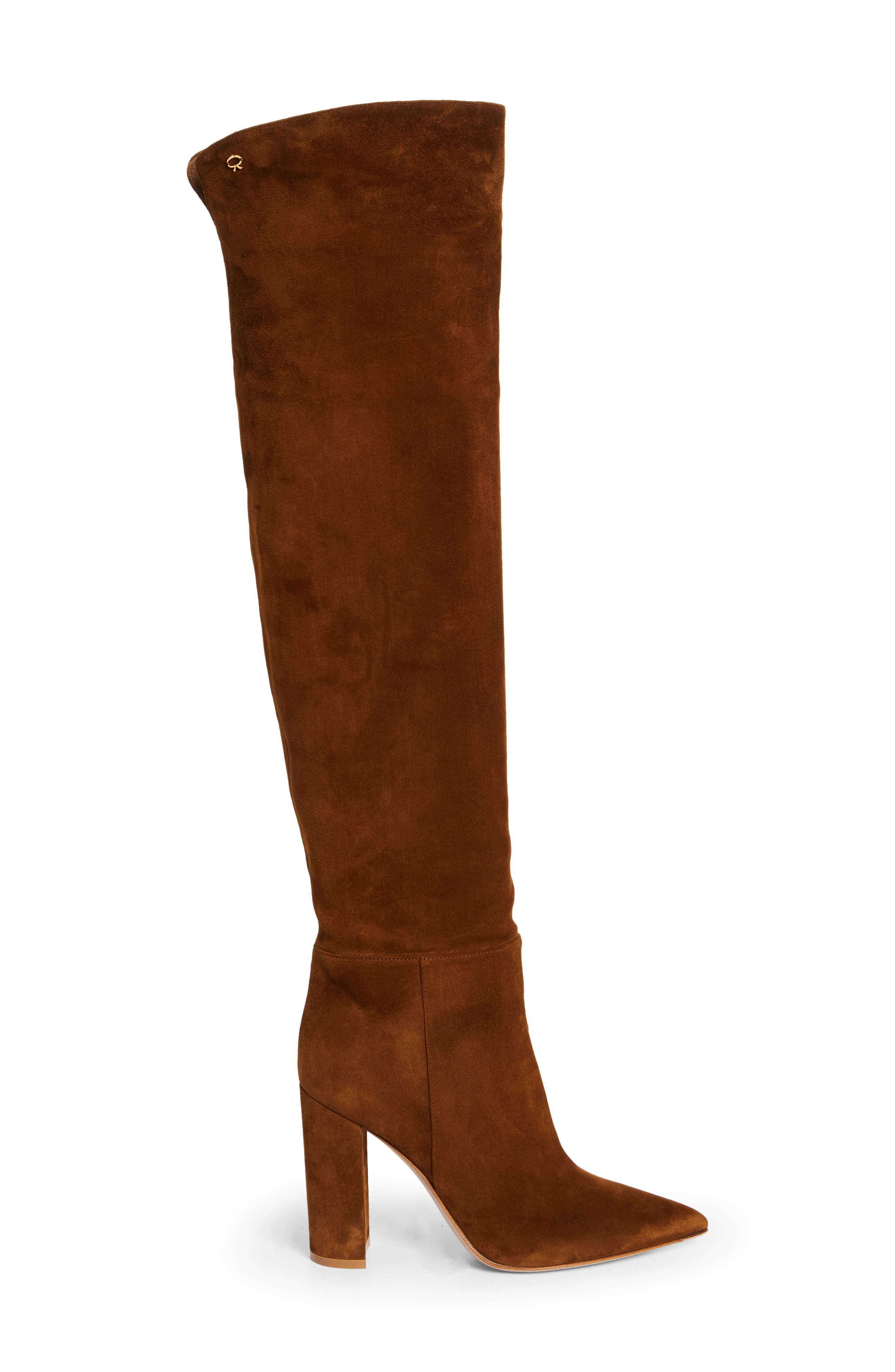 Gianvito Rossi Piper Pointed Toe Over the Knee Boot, Alternate, color, 