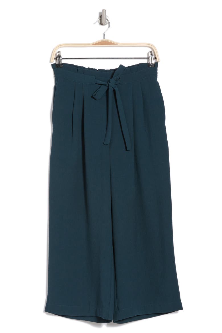 Crop Wide Leg Pants, Alternate, color, TEAL OCEAN