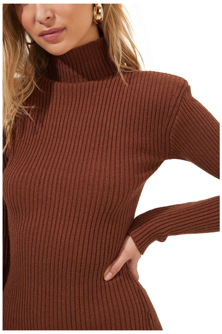 Abilene Long Sleeve Sweater Dress, Alternate, color, NUTMEG