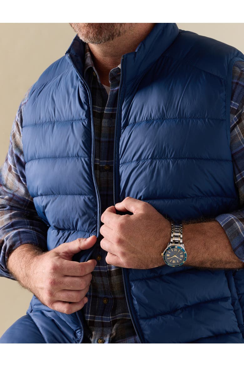 Big & Tall Puffer Vest, Alternate, color, BLUE