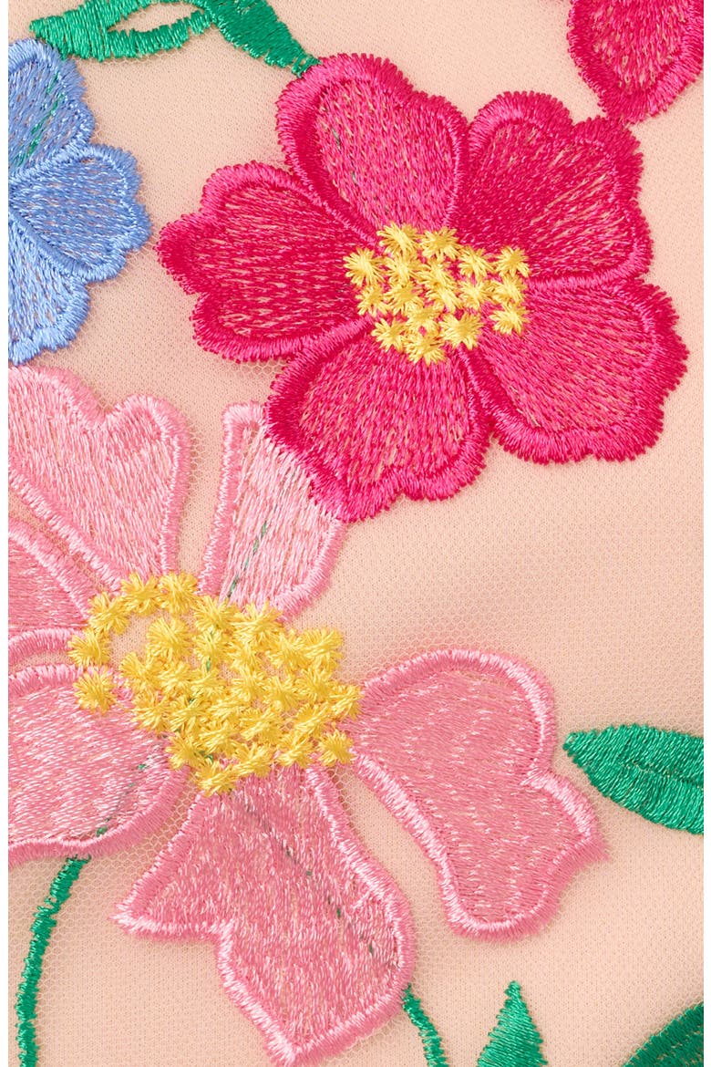 Floral Embroidered A-Line Midi Dress, Alternate, color, PINK/ YELLOW MULTI