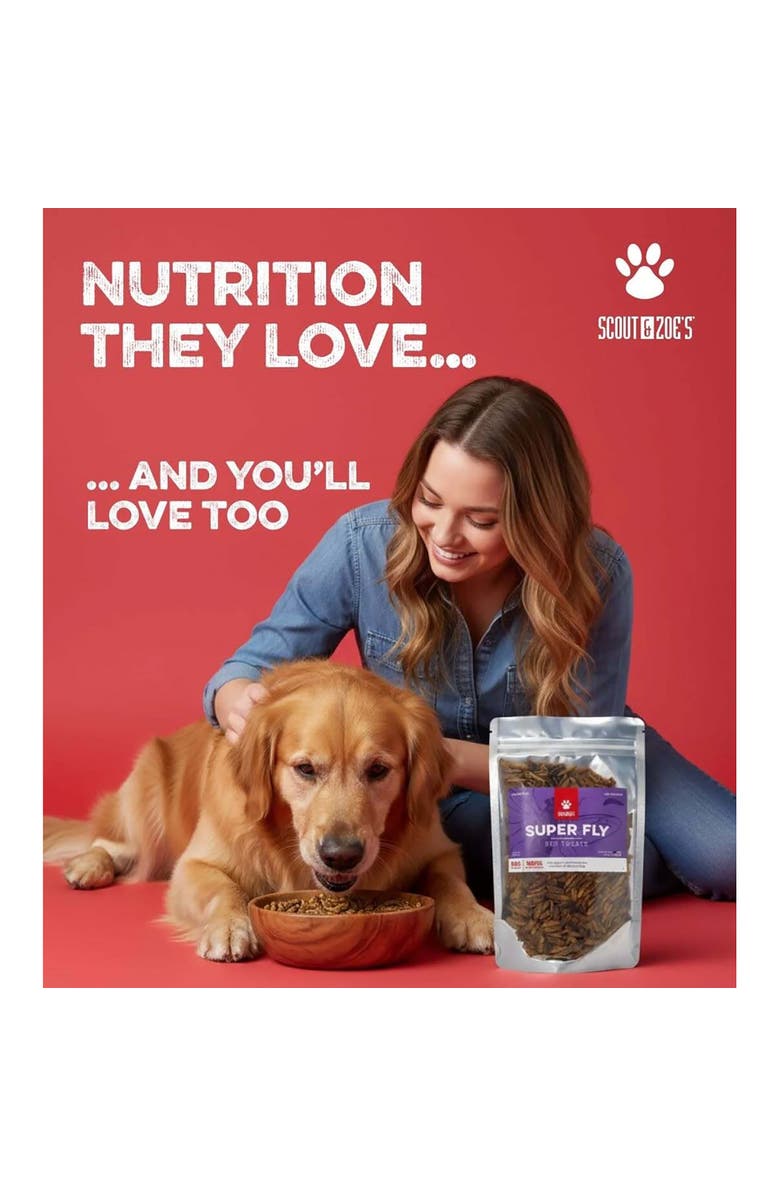 Scout & Zoe's Super Fly Black Soldier - Larvae, 3oz Treats, All Pets, Alternate, color, Multicolored