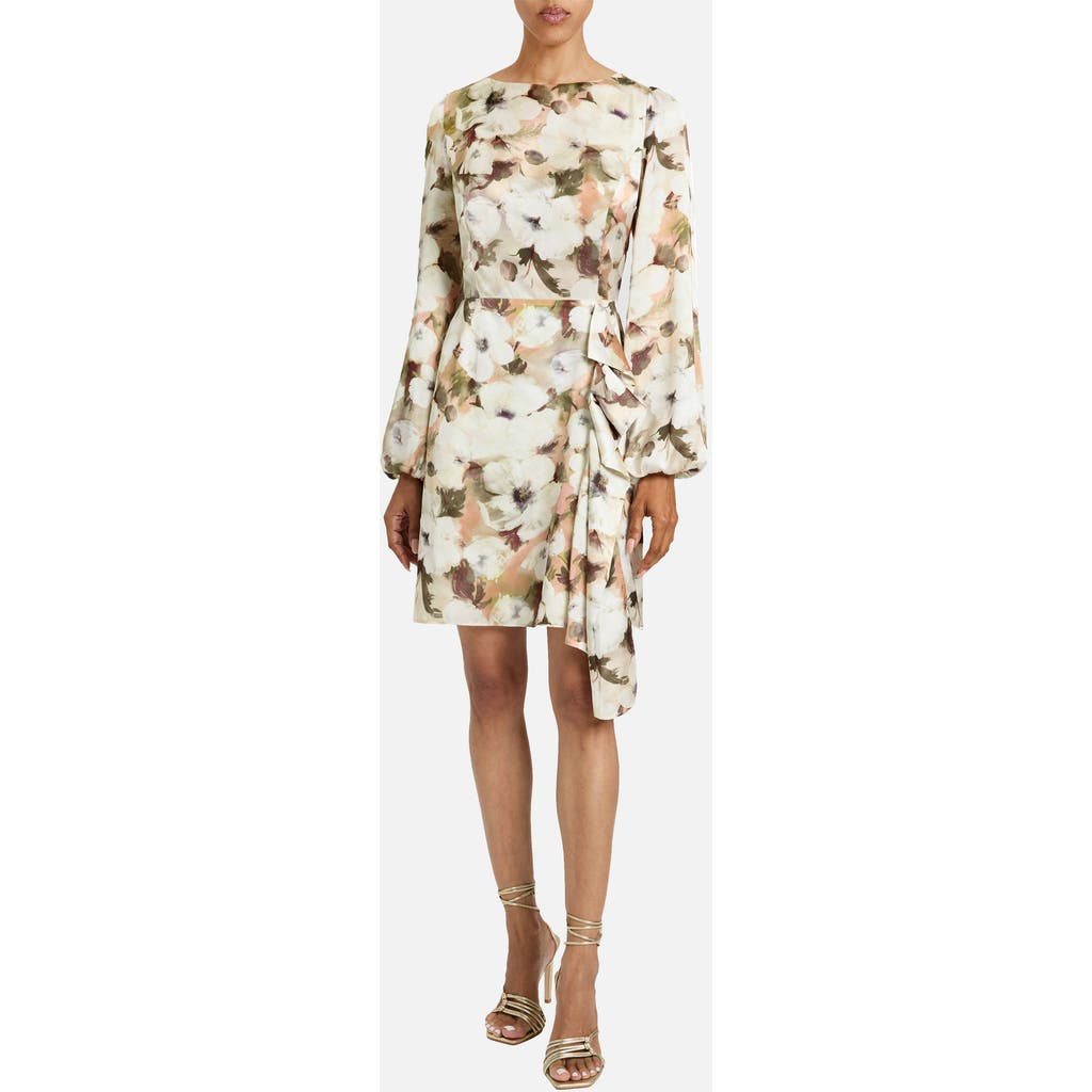 Santorelli Malia Floral Georgette Long Sleeve Dress In White