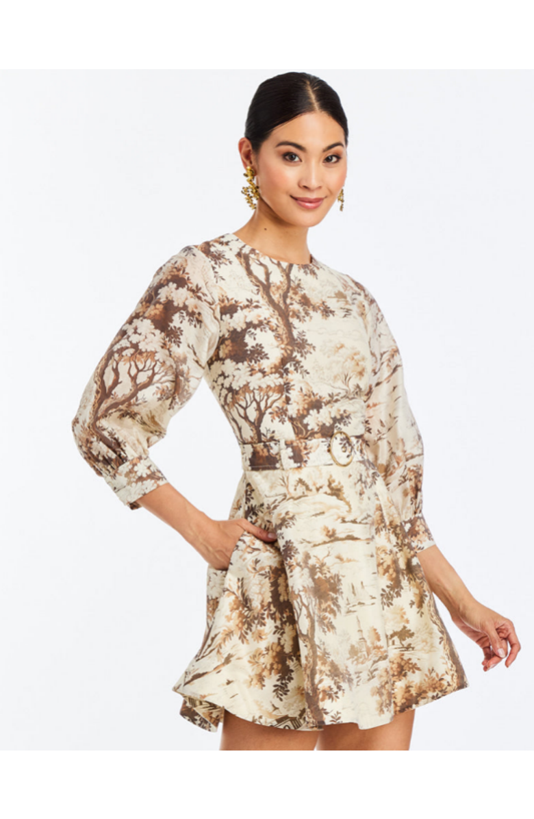 Mestiza New York Rhonda Convertible Midi Dress, Alternate, color, Brown