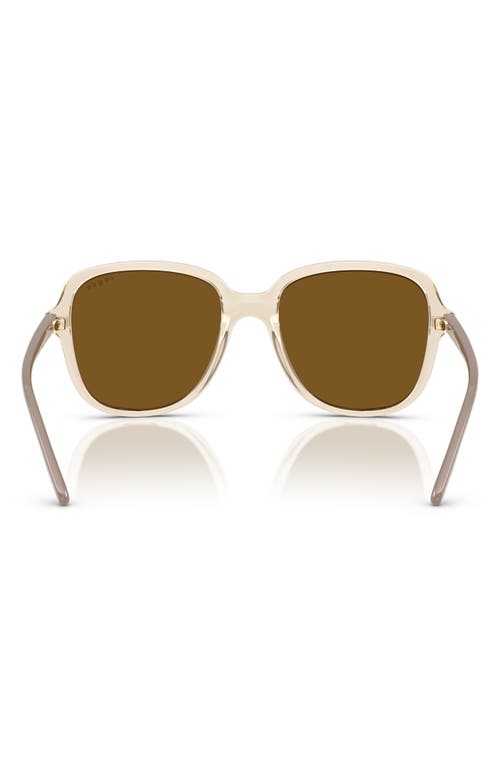 Vogue 53mm Square Sunglasses In Brown