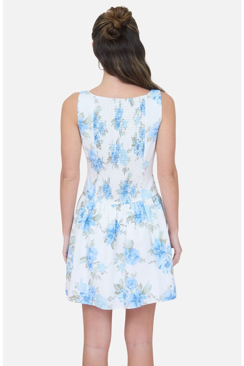 Floral Sleeveless Drop Waist Minidress, Alternate, color, IVORY MULTI
