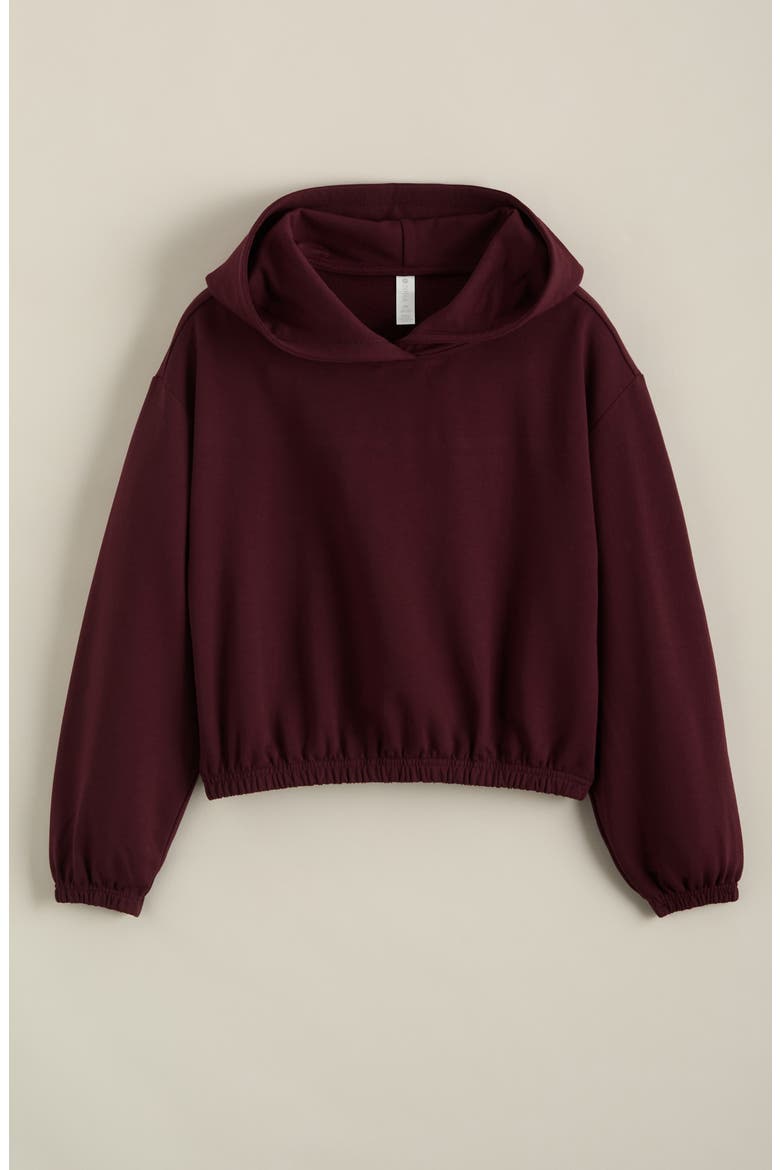 Kids' Bubble Icon Hoodie, Main, color, BURGUNDY STEM