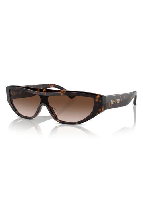 Scuderia Ferrari 125mm Rectangular Shield Sunglasses In Brown