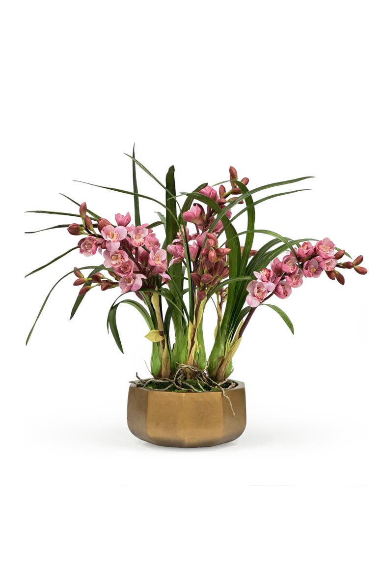 Winward Home Cymbidium Plant In Polygonal Pot, Main, color, 