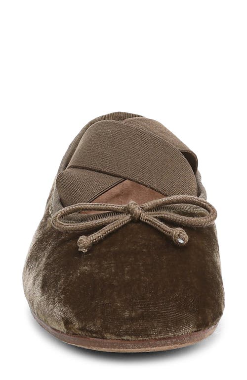Sam Edelman Arya Ballet Flat In Brown