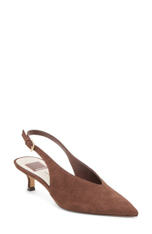 Dolce Vita Alenna Slingback Pointed Toe Kitten Heel Pump In Brown