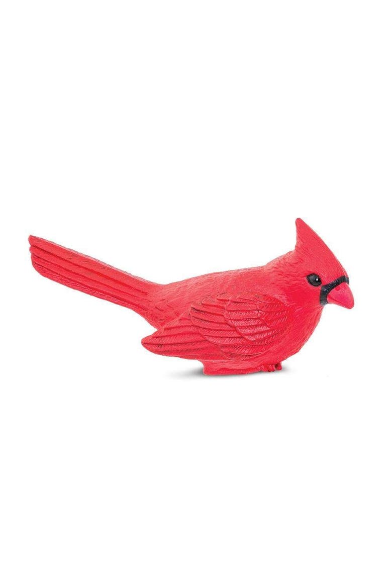 Cardinal Toy, Main, color, No Color