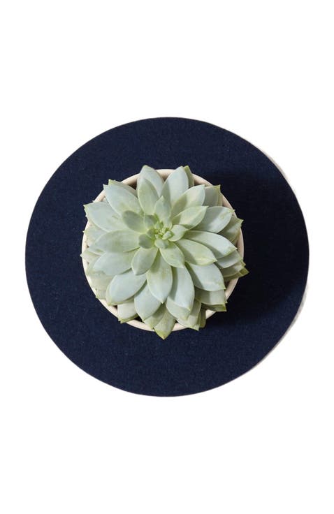 Merino Wool 10" Round Trivet