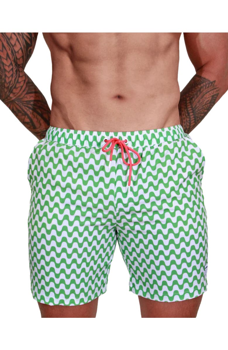 Mosmann Australia Men's Board Shorts, Main, color, Green