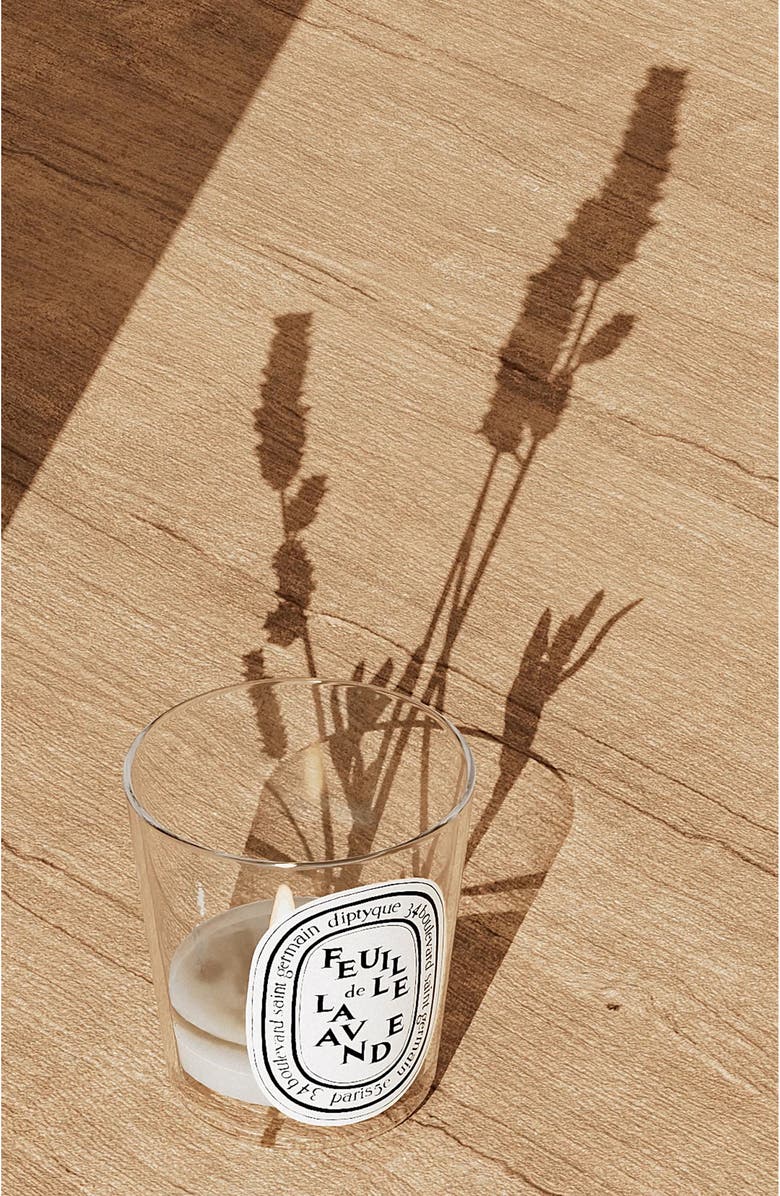 Diptyque Feuille de Lavande (Lavender Leaf) Scented Candle, Alternate, color,