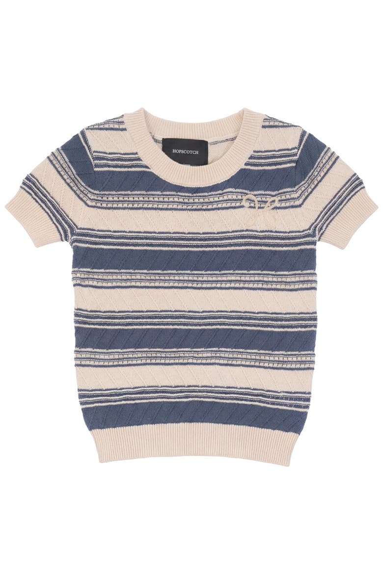 Stripe Textured Knit Embroidered Cotton Sweater, Main, color, Moonlight