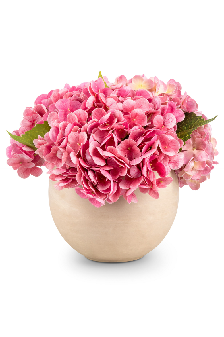 Azalea RealTouch Hydrangea Arrangement, Main, color, Blush