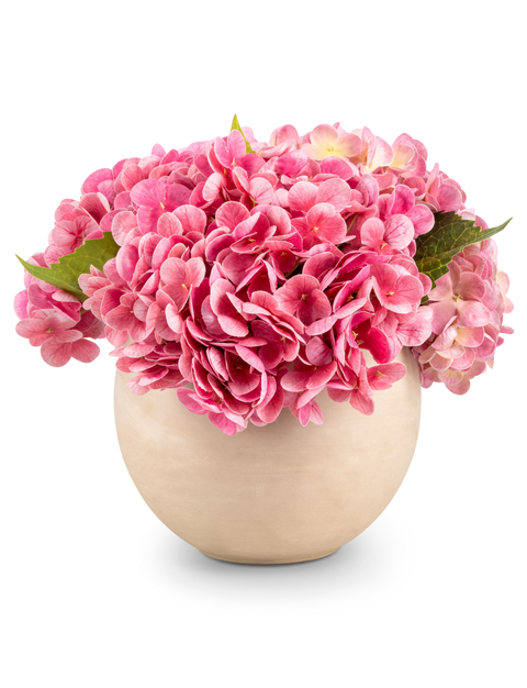 Azalea RealTouch Hydrangea Arrangement