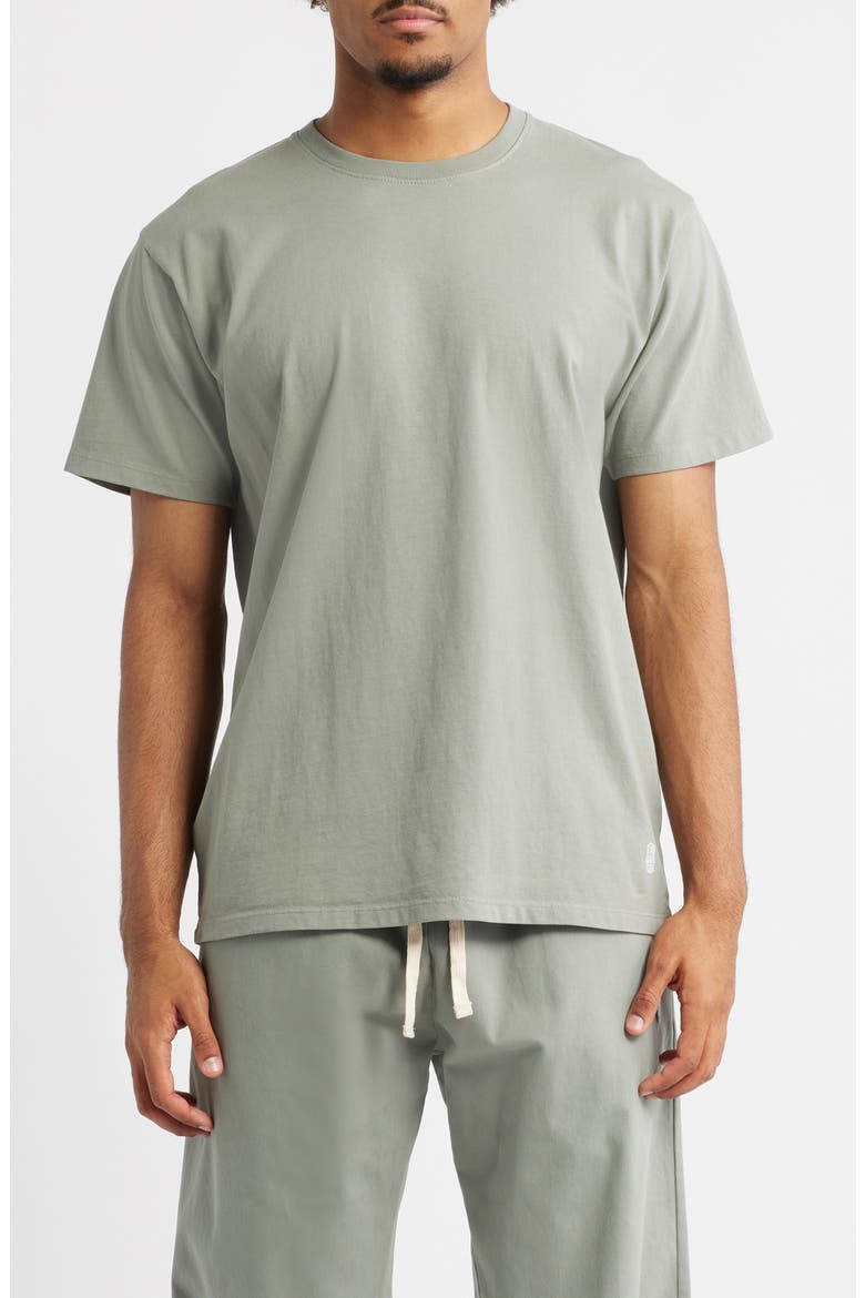 Standard Cotton T-Shirt, Main, color, CONCRETE