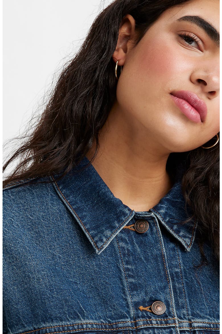 '90s Denim Trucker Jacket, Alternate, color, TO MY CORE